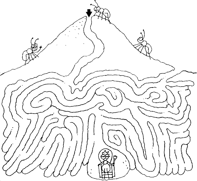 Ant maze